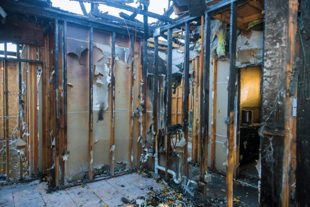 Professional Fire Damage Removal technician working in Bowling Green, FL